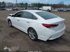 2019 Hyundai Sonata Sel White vin: 5NPE34AF6KH779224