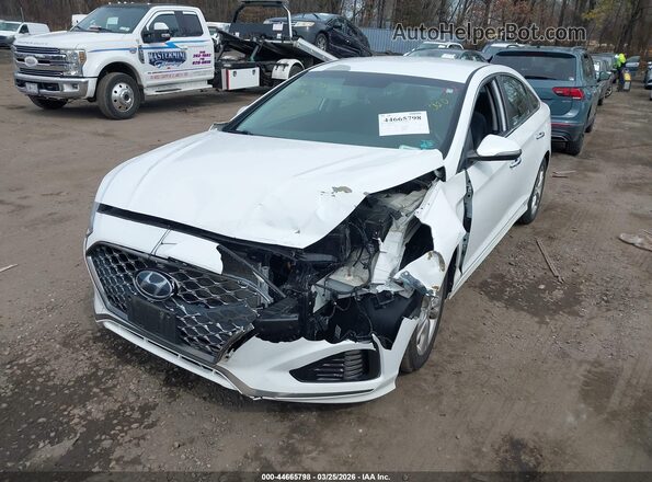 5NPE34AF6KH779224 2019 HYUNDAI SONATA White Vista frontal