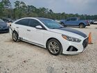2019 Hyundai Sonata Sport White vin: 5NPE34AF7KH741291 2019 Hyundai Sonata Sport White vin: 5NPE34AF7KH741291