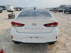 2019 Hyundai Sonata Sport White vin: 5NPE34AF7KH741291 2019 Hyundai Sonata Sport White vin: 5NPE34AF7KH741291