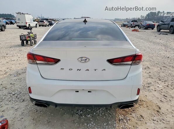 5NPE34AF7KH741291 2019 HYUNDAI SONATA White Rear view