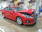 2019 Hyundai Sonata Sel Red vin: 5NPE34AF7KH762335