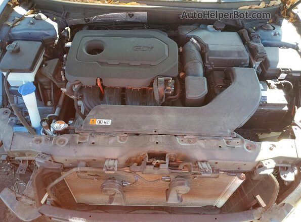 5NPE34AF8GH267410 2016 HYUNDAI SONATA Синий Вид задней части салона