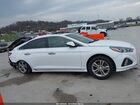 2018 Hyundai Sonata Sport White vin: 5NPE34AF8JH622969 2018 Hyundai Sonata Sport White vin: 5NPE34AF8JH622969