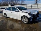 2018 Hyundai Sonata Sport White vin: 5NPE34AFXJH635125 2018 Hyundai Sonata Sport White vin: 5NPE34AFXJH635125