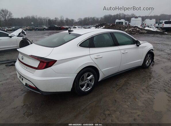 5NPEG4JAXLH049567 2020 HYUNDAI SONATA Белый Задняя правая четверть