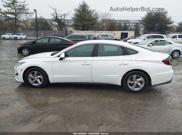 5NPEG4JAXLH049567 2020 HYUNDAI SONATA Белый 