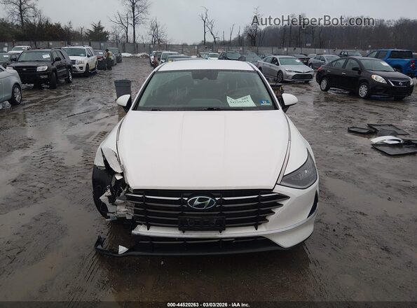 5NPEG4JAXLH049567 2020 HYUNDAI SONATA Белый Вид задней части салона