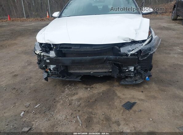 5NPLM4AG5PH104372 2023 HYUNDAI ELANTRA Белый Вид спереди