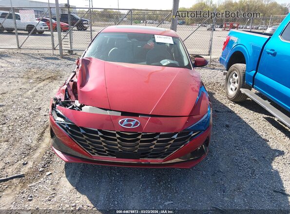 5NPLP4AG5PH117548 2023 HYUNDAI ELANTRA Красный Вид задней части салона