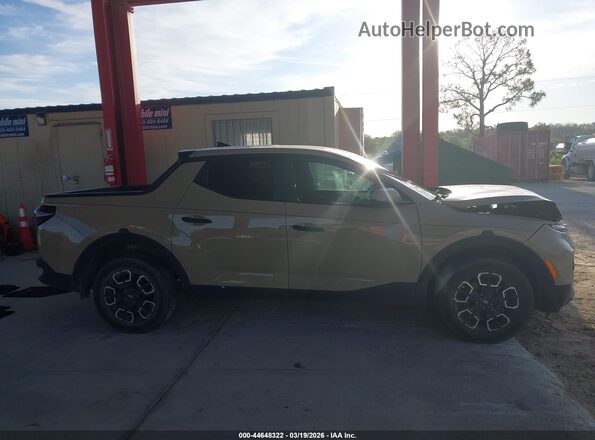 5NTJADAEXPH068176 2023 HYUNDAI SANTA CRUZ Tan უკანა სალონის ხედი