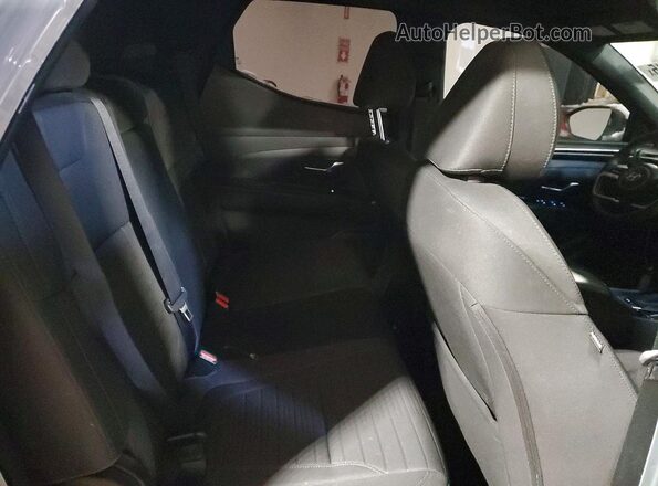 5NTJBDAE2RH094772 2024 HYUNDAI SANTA Серый Вид задних сидений