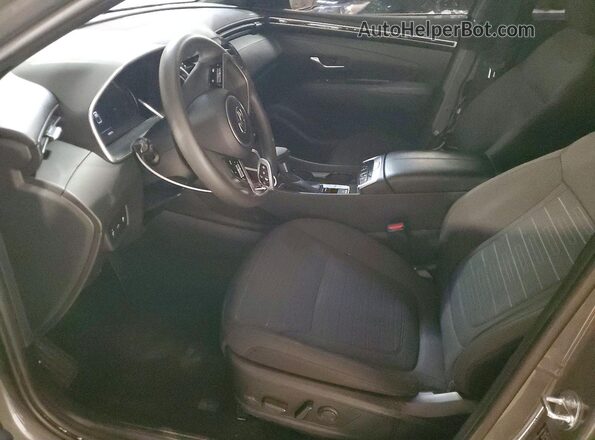 5NTJBDAE2RH094772 2024 HYUNDAI SANTA Серый Вид салона спереди