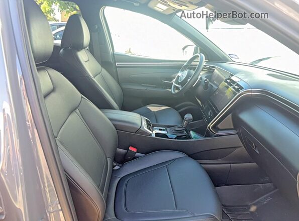 5NTJCDDF9RH110659 2024 HYUNDAI SANTA Gray Widok z przodu