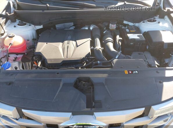 5NTJDDAF8NH036355 2022 HYUNDAI SANTA CRUZ White უკანა ხედი