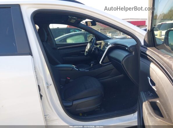 5NTJDDAF8NH036355 2022 HYUNDAI SANTA CRUZ White წინა სალონის ხედი