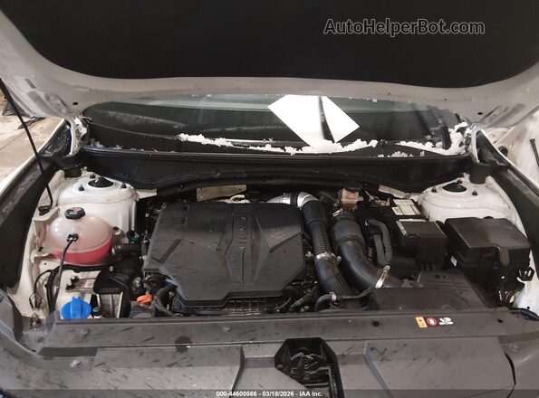5NTJEDAF6NH026243 2022 HYUNDAI SANTA CRUZ White უკანა ხედი