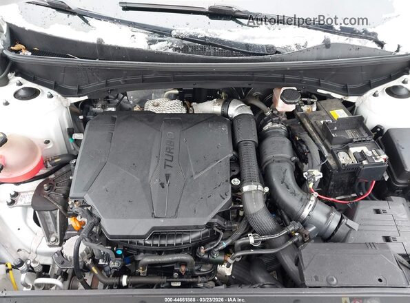 5NTJEDAF6NH036027 2022 HYUNDAI SANTA CRUZ Black უკანა ხედი