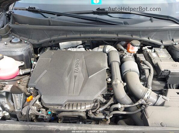 5NTJEDAF7NH039647 2022 HYUNDAI SANTA CRUZ Black Widok z tyłu