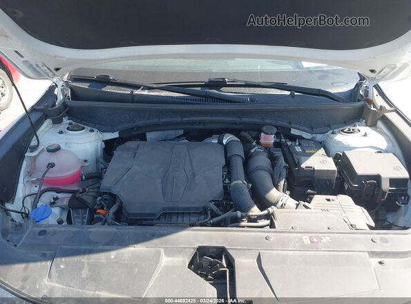5NTJEDDF5RH125492 2024 HYUNDAI SANTA CRUZ White უკანა ხედი