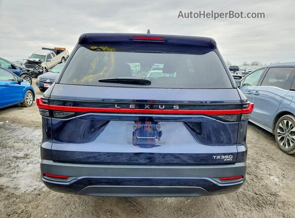 5TDAAAB66SS024103 2025 LEXUS TX Blue Rear view