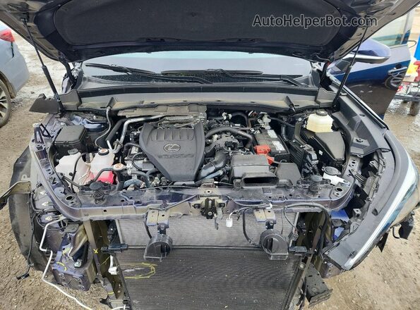 5TDAAAB66SS024103 2025 LEXUS TX Blue Engine compartment view