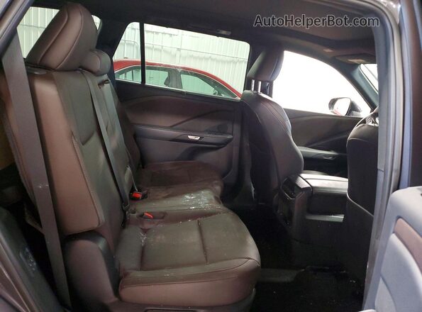 5TDAAAB67SS035031 2025 LEXUS TX Серый Вид задней части салона