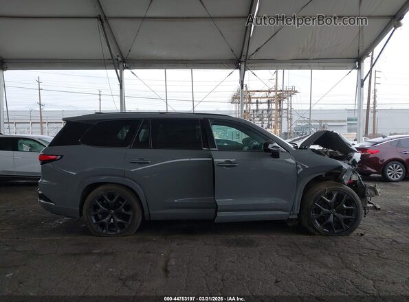 5TDABAB61RS000203 2024 LEXUS TX 500H Серый Вид задней части салона