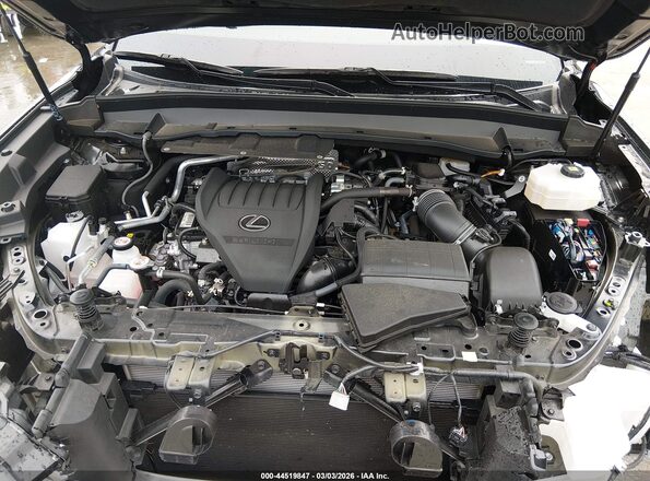 5TDABAB61RS004266 2024 LEXUS TX 500H Black Widok z tyłu