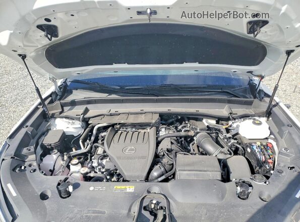 5TDABAB66TS016789 2026 LEXUS TX White Widok wnętrza z tyłu