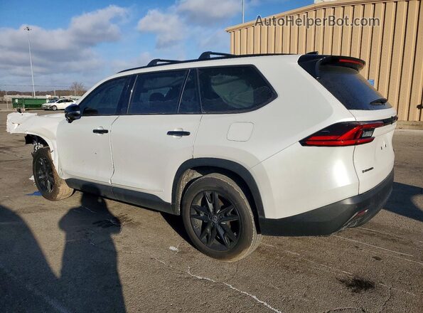 5TDACAB53SS031415 2025 TOYOTA HIGHLANDER HYBRID White Задня ліва чверть