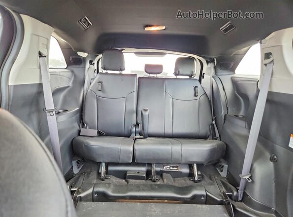 5TDDRKEC6SS231877 2025 TOYOTA SIENNA Черный Вид задних сидений