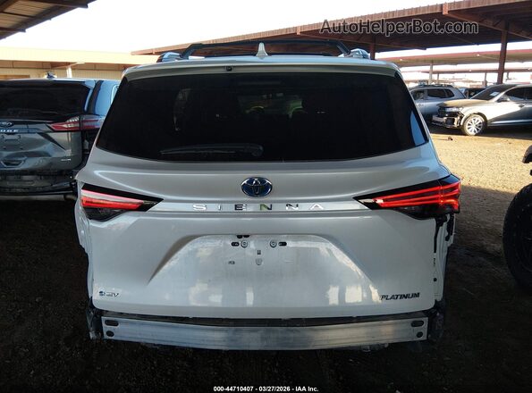 5TDERKEC6SS256282 2025 TOYOTA SIENNA Белый 