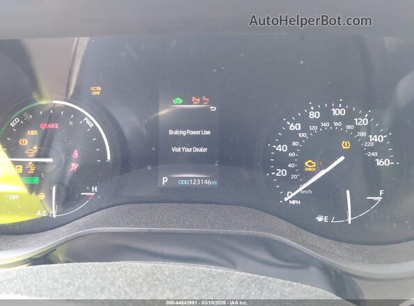 5TDYRKEC3MS007938 2021 TOYOTA LE Green Widok tylnych siedzeń