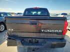 2021 Toyota Tundra Коричневый vin: 5TFAY5F13MX960727
