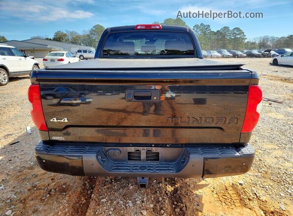 5TFAY5F14KX817296 2019 TOYOTA TUNDRA Black Հետևի տեսք