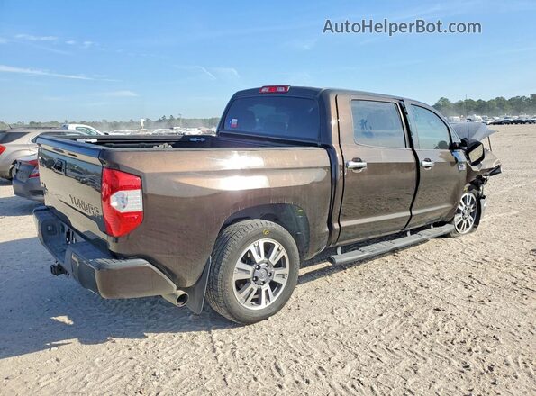 5TFAY5F19KX791584 2019 TOYOTA TUNDRA Brown Rear right