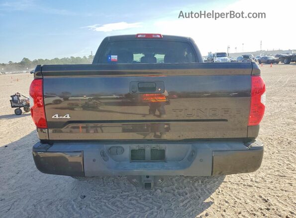 5TFAY5F19KX791584 2019 TOYOTA TUNDRA Brown Rear view