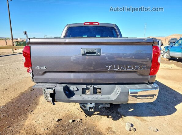 5TFDW5F18HX615427 2017 TOYOTA TUNDRA Серый Вид сзади