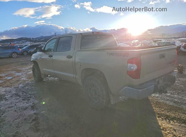 5TFDY5F17JX763570 2018 TOYOTA TUNDRA Бежевый Задняя левая четверть