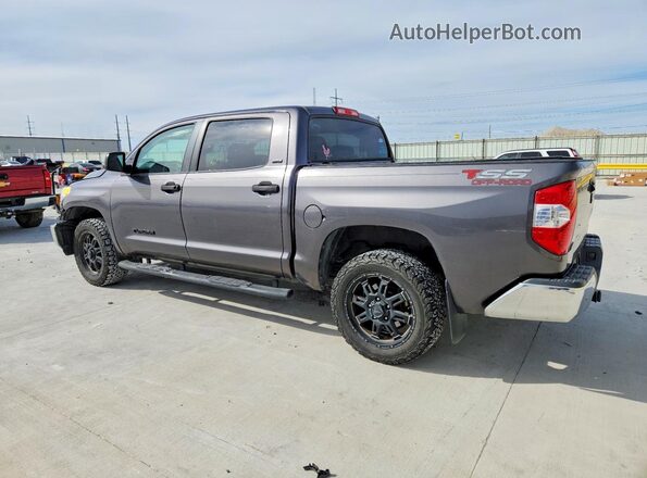 5TFEM5F19HX113147 2017 TOYOTA TUNDRA Серый Задняя левая четверть