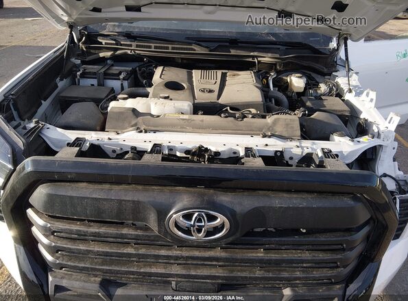 5TFKB5DB6SX301085 2025 TOYOTA TUNDRA Белый Вид сзади