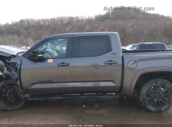 5TFLA5DB2RX169072 2024 TOYOTA TUNDRA Серый Панорамный вид салона 360°