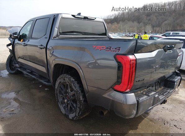 5TFLA5DB2RX169072 2024 TOYOTA TUNDRA Серый Задняя левая четверть