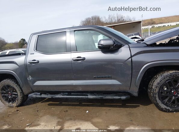 5TFLA5DB2RX169072 2024 TOYOTA TUNDRA Серый Вид задней части салона