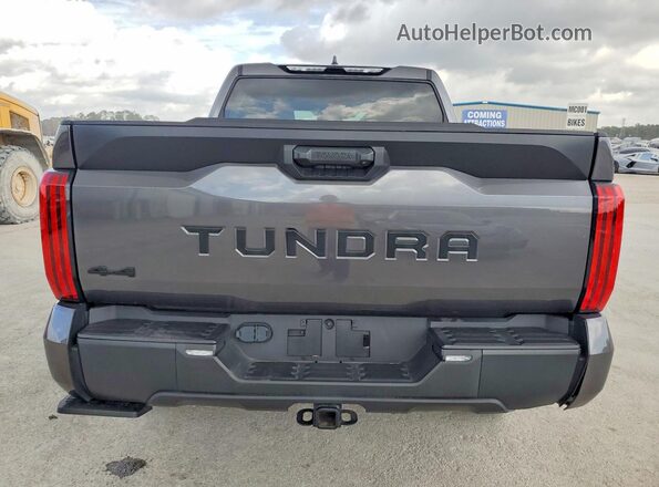 5TFLA5DB2RX201258 2024 TOYOTA TUNDRA Серый Вид сзади