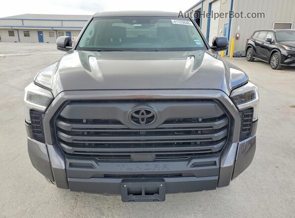 5TFLA5DB2RX201258 2024 TOYOTA TUNDRA Серый Вид спереди