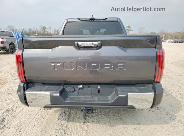 5TFMA5AB0PX02227X 2023 TOYOTA TUNDRA Gray Widok z tyłu