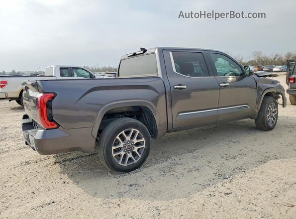 5TFMA5AB0PX02227X 2023 TOYOTA TUNDRA Gray Tył prawy