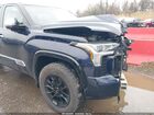 2023 Toyota Tundra 1794 Edition Dark Blue vin: 5TFMA5DBXPX104827